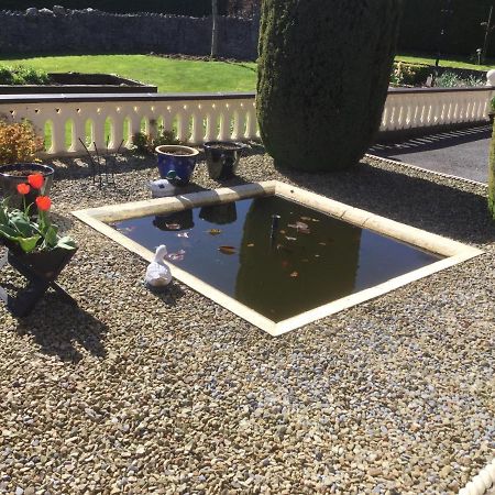Weir View Bed And Breakfast Durrow Eksteriør billede